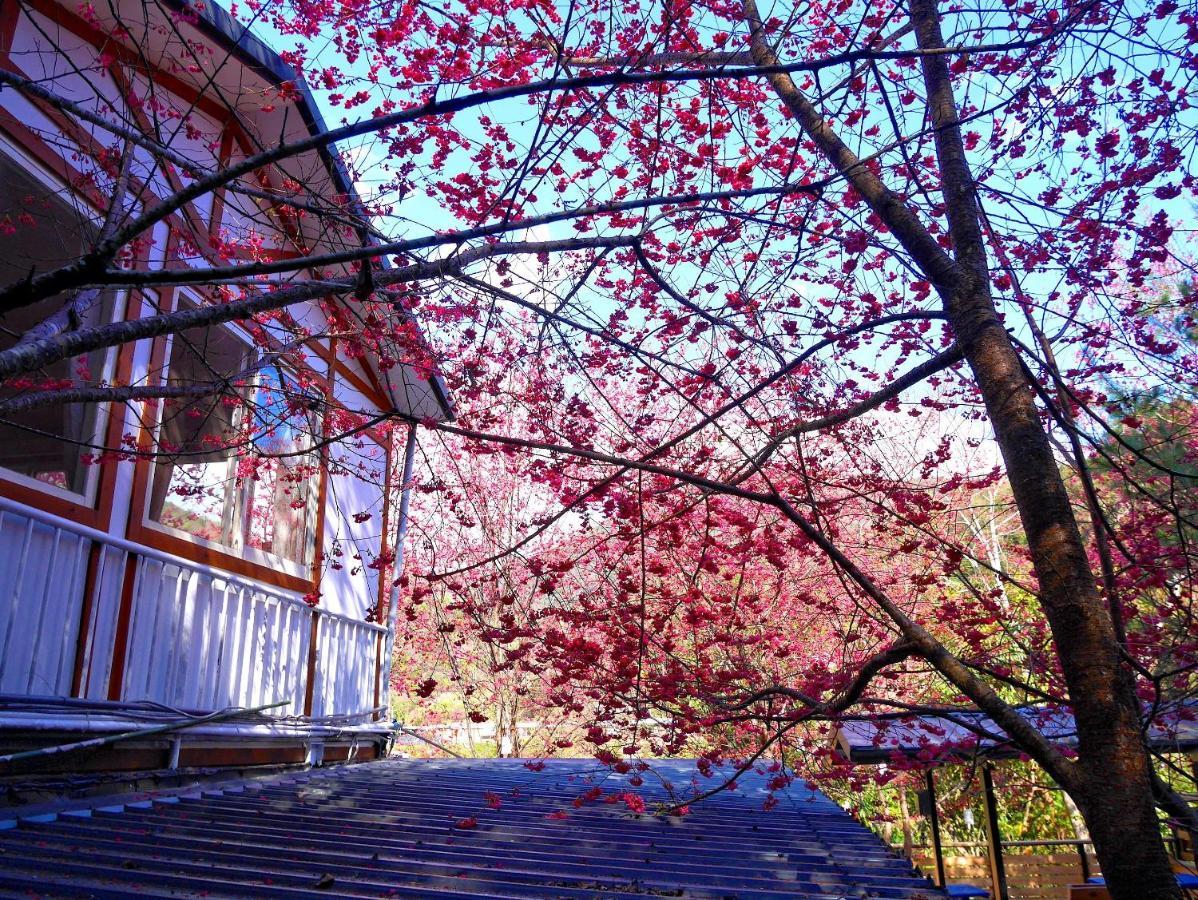 森之秘湯 Mhuwe Hotspring Διαμέρισμα Renai Δωμάτιο φωτογραφία