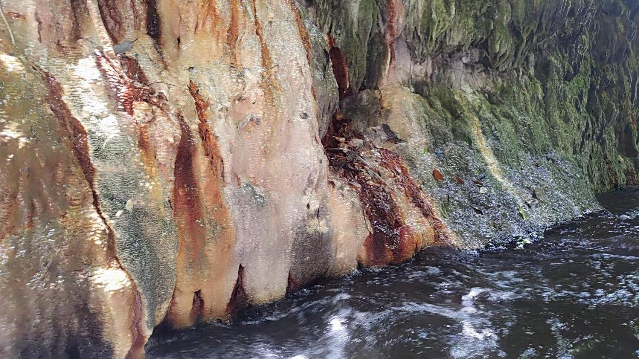 森之秘湯 Mhuwe Hotspring Διαμέρισμα Renai Εξωτερικό φωτογραφία